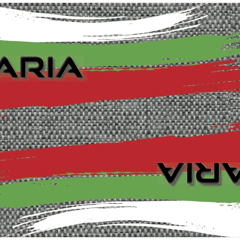 Evolution Flag Blade Guards