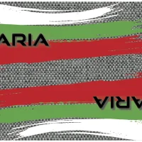 Evolution Flag Blade Guards