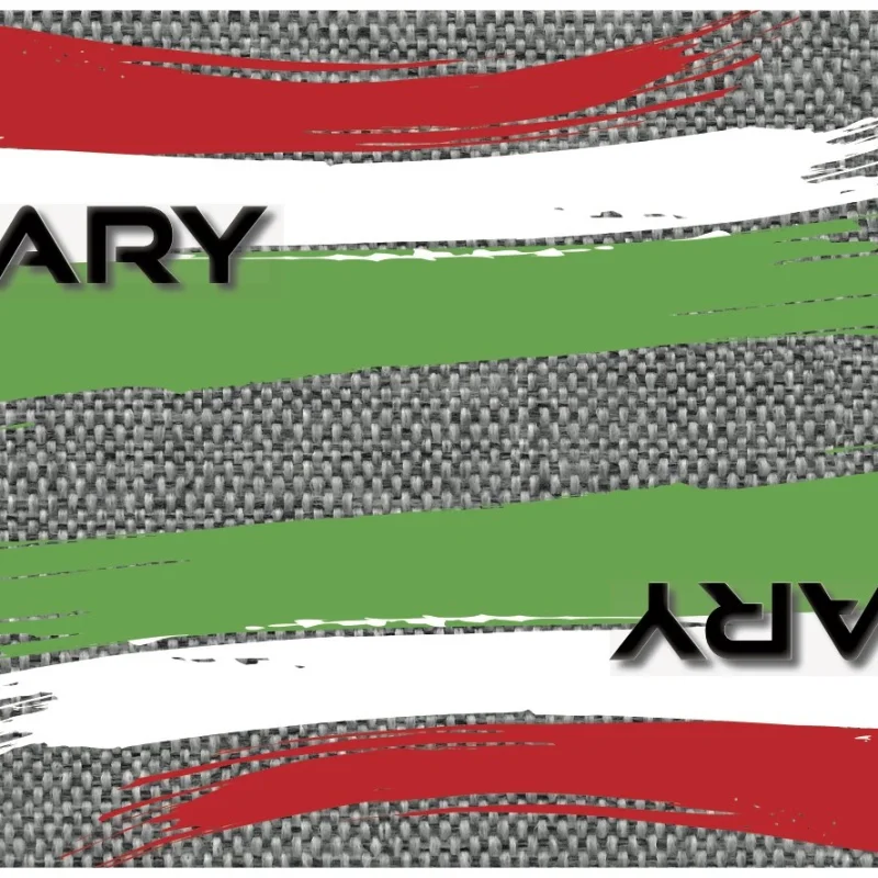 Evolution Flag Blade Guards