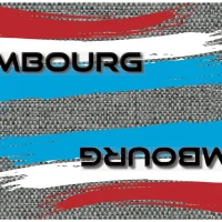 Evolution Flag Blade Guards