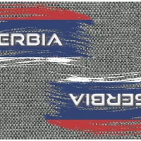 Evolution Flag Blade Guards