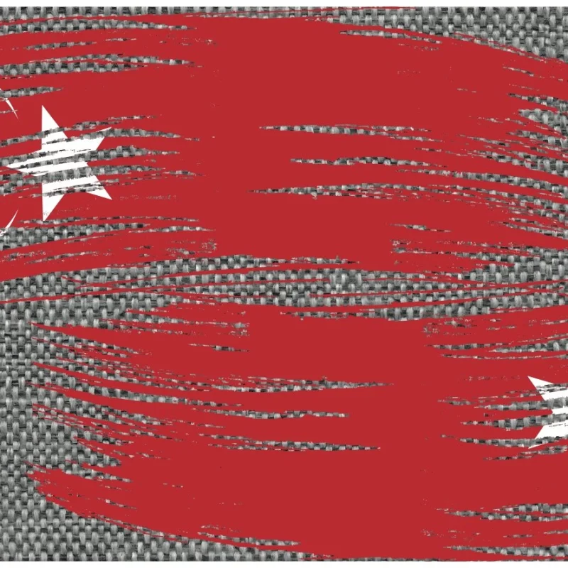 Evolution Flag Blade Guards