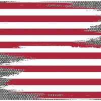 Evolution Flag Blade Guards