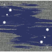 Evolution Flag Blade Guards