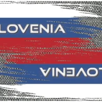 Evolution Flag Blade Guards