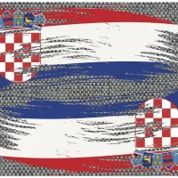 Evolution Flag Blade Guards