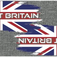 Evolution Flag Blade Guards