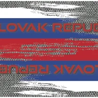 Evolution Flag Blade Guards